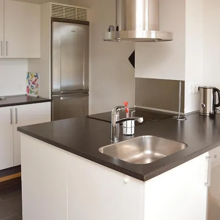 아파트 One-bedroom In Romo